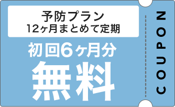 予防プランクーポン